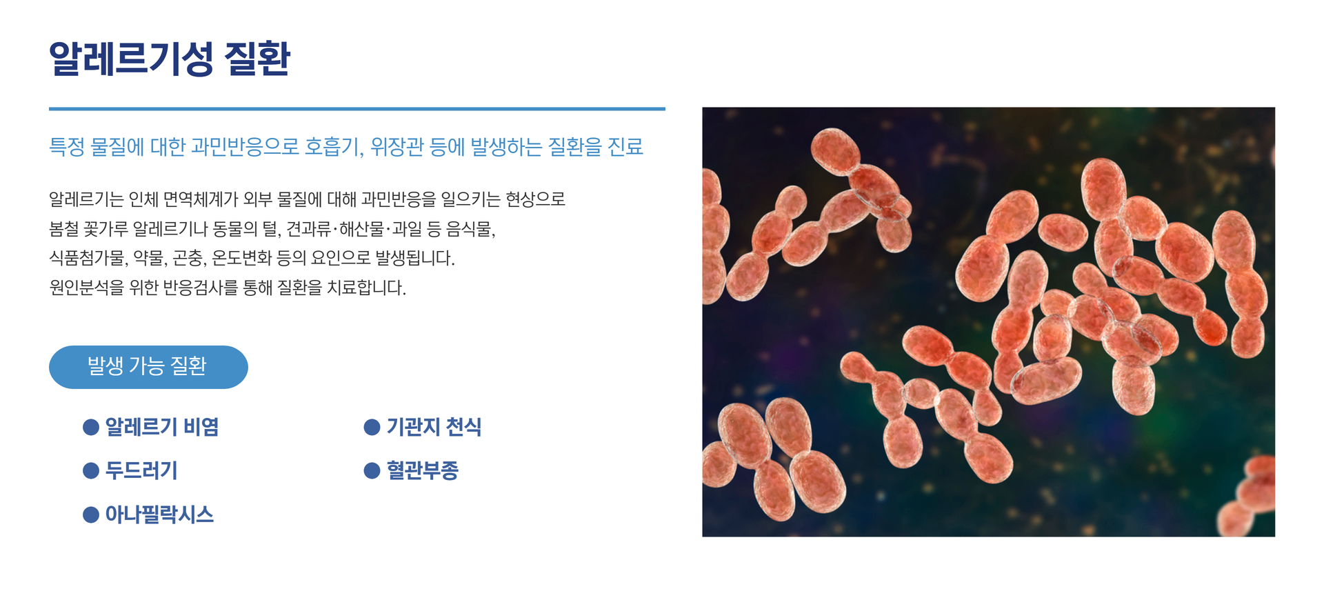 진료과목7.png